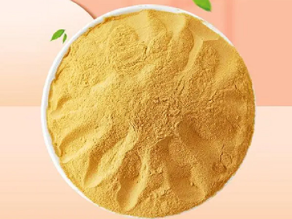 聚合硫酸鐵（SPFS）